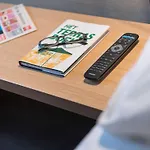 Ibis