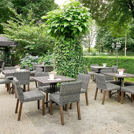 Ibis 3*